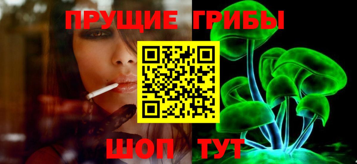 Псилоцибиновые грибы Psilocybe Красный Сулин